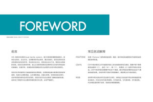 品牌VI設(shè)計(jì)與軟件開發(fā) 自由自在品牌管理的雙翼