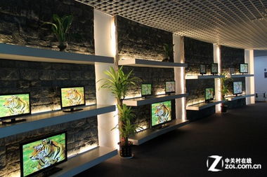 企業(yè)文化的多元展示 從平板電視到化妝品的品牌創(chuàng)新之路