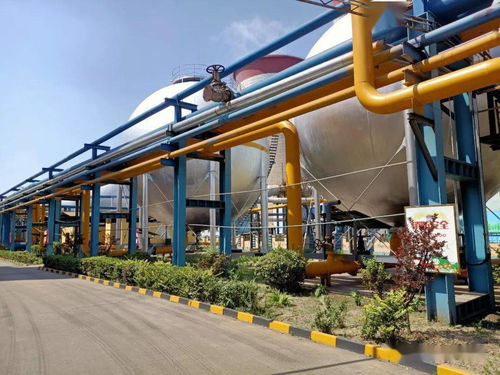 綠色環(huán)保，從“鑫”出發(fā) 化妝品行業(yè)的可持續(xù)發(fā)展之路